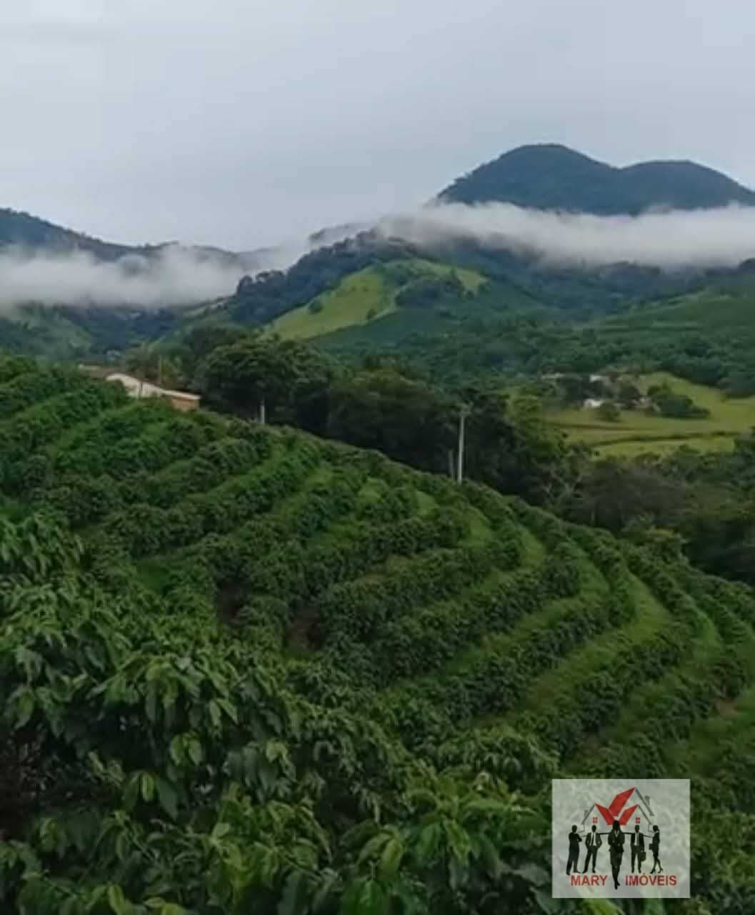 Fazenda/Sítios/Chácaras em Caconde - Centro