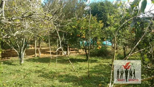 Fazenda/Sítios/Chácaras em Poços de Caldas - Vila Cascata das Antas