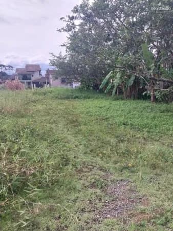 Terreno 360 m2 bairro Floresta