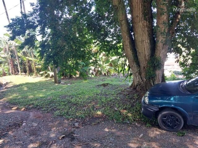 Terreno com 713,40 m2 bairro Floresta