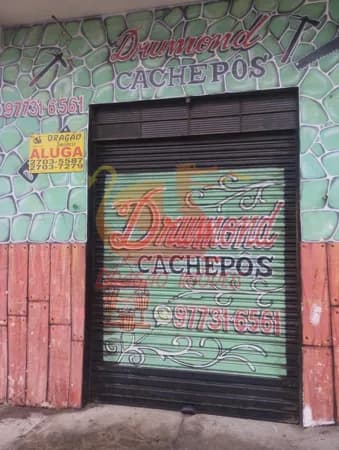 Sala/Conjunto em São Paulo - Vila Industrial