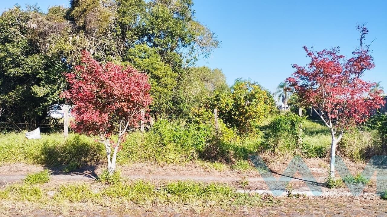 Lote/Terreno em Sapiranga - São Luiz