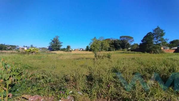 Lote/Terreno em Sapiranga - São Luiz