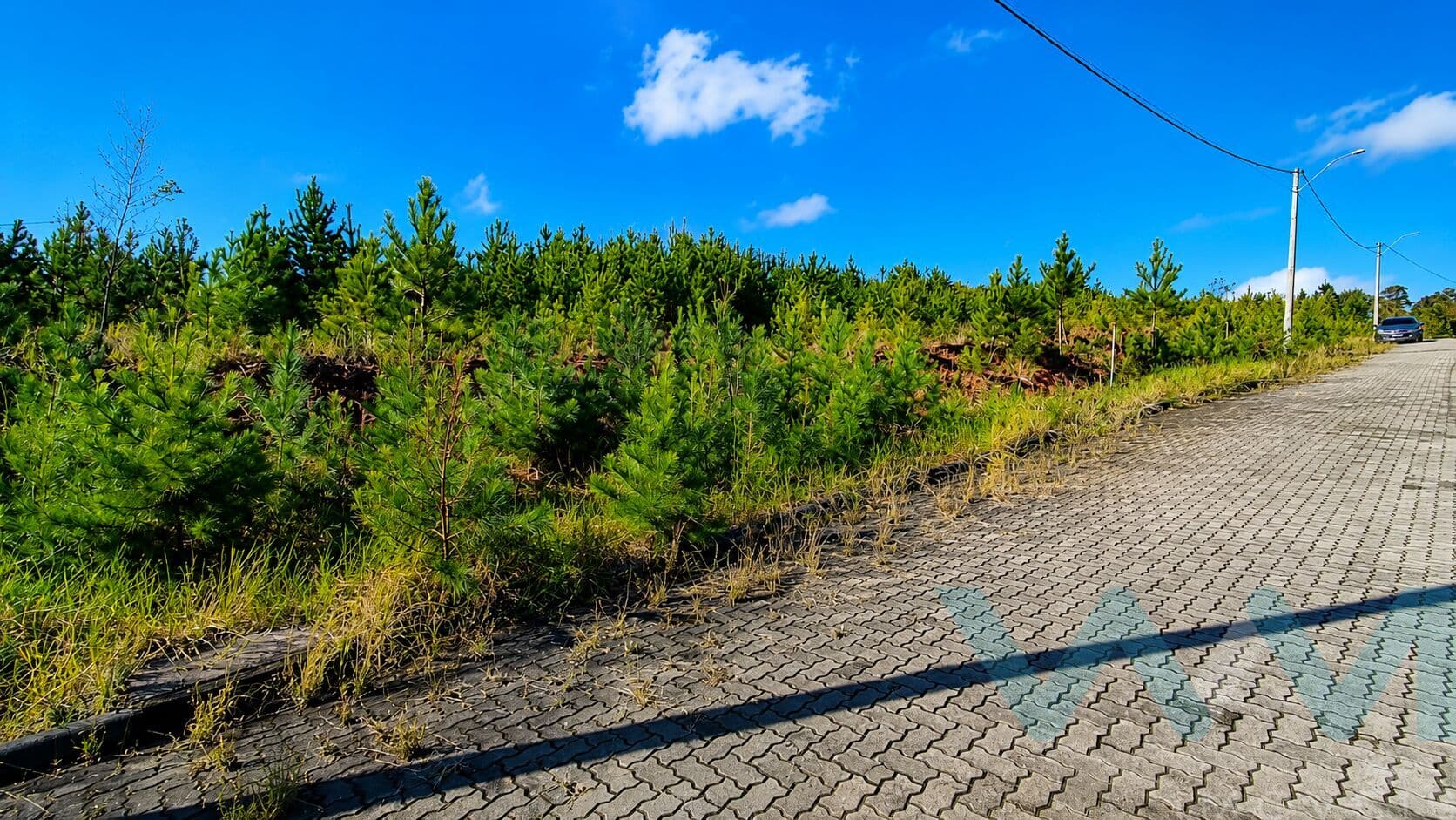 Lote/Terreno em Araricá - Bela Vista