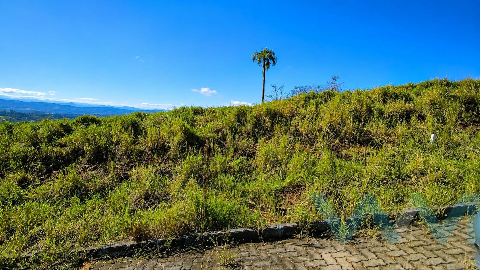 Lote/Terreno em Araricá - Bela Vista