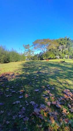 Lote/Terreno em Sapiranga - São Luiz
