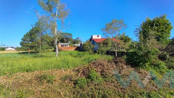 Lote/Terreno em Sapiranga - São Luiz