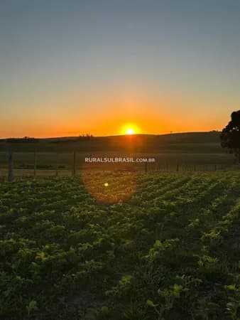 RS●FAZENDA●1.150 HECTARES●PRODUTIVA | ESTRATÉGICA | CONSOLIDADA