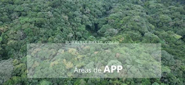 52 HECTARES _ APP _ NOVA VENEZA-SC