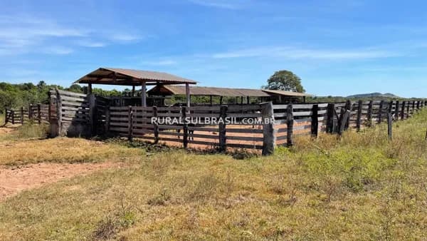 TOCANTINS●FAZENDA●232 ALQUEIRES●MEGA OPORTUNIDADE