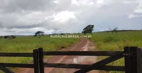 MATO GROSSO●FAZENDA●3.150 HECTARES