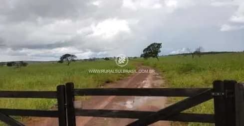 MATO GROSSO●FAZENDA●3.150 HECTARES