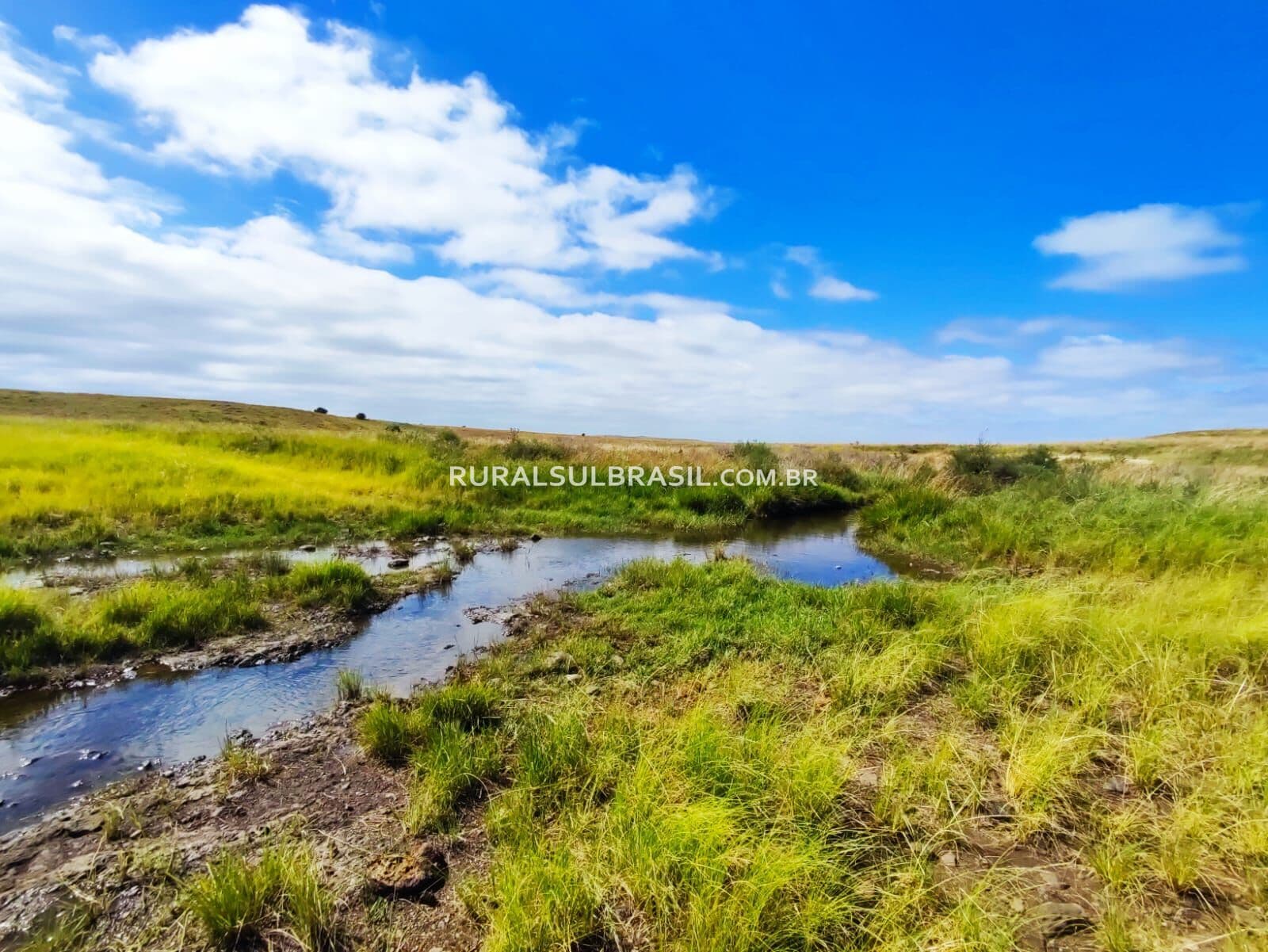 RS●FAZENDA●1.150 HECTARES●PASTAGENS | PECUÁRIA | POTENCIAL