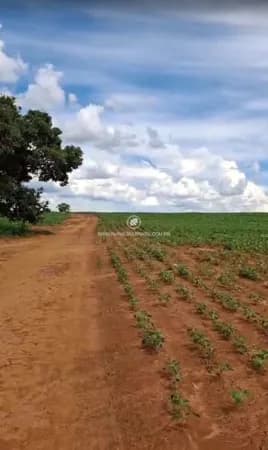 GOIÁS●FAZENDA●18 ALQUEIRES●AGRICULTURA,