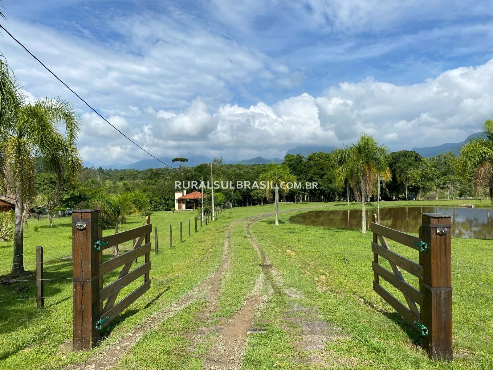 SC●SITIO●7 HECTARES●NATUREZA, LAZER E TRANQUILIDADE