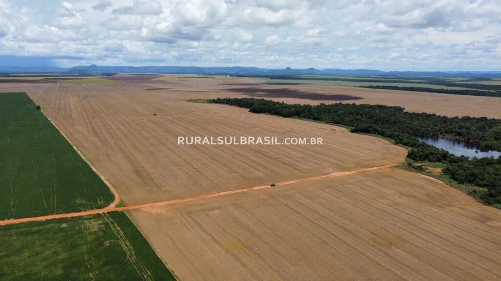 TOCANTINS●FAZENDA●1.956 HECTARES●AGRICULTURA