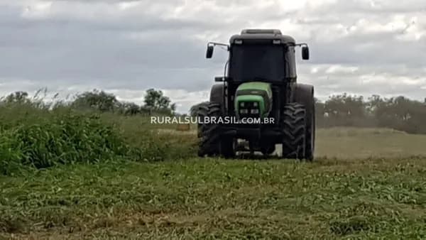 PARAGUAI●FAZENDA●1.800 HECTARES●LAVOURA, PECUÁRIA, PRODUTIVA