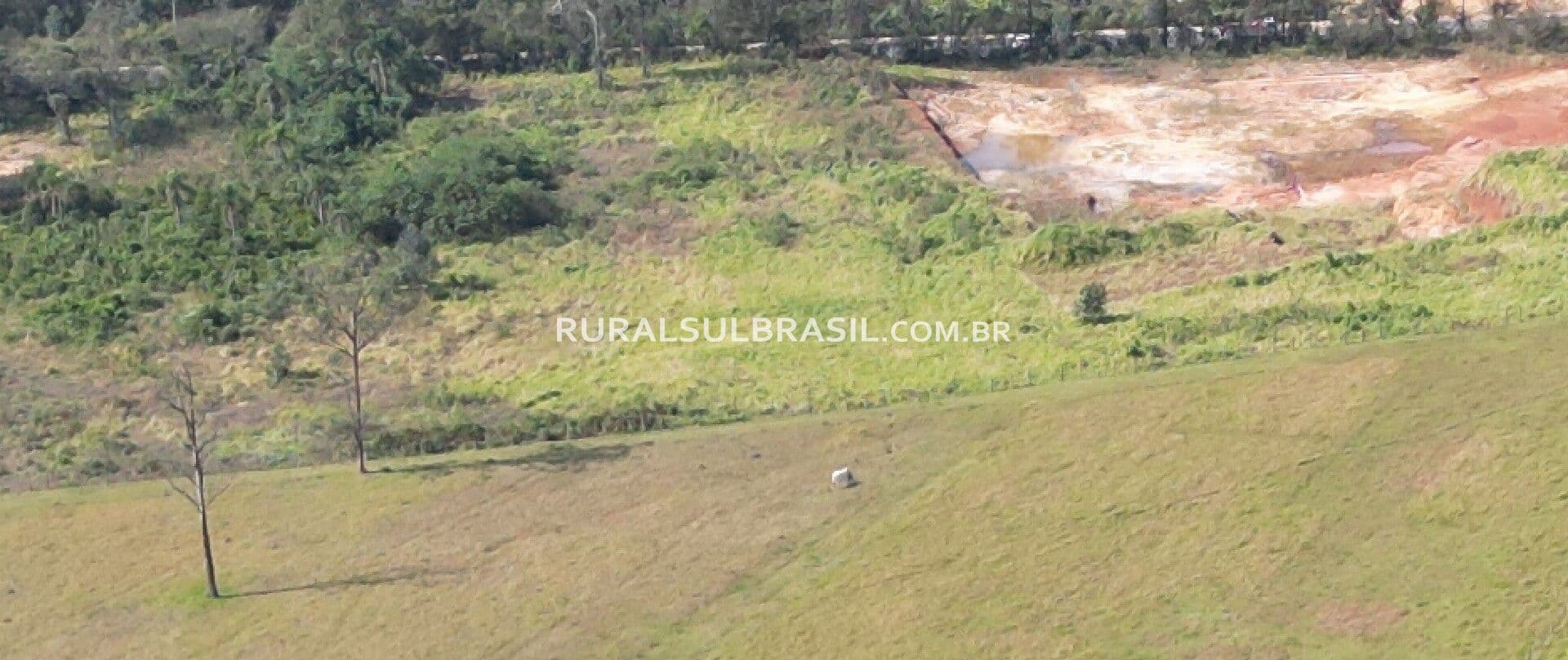 Área Industrial _frente para Rodovia, CRICIÚMA-SC