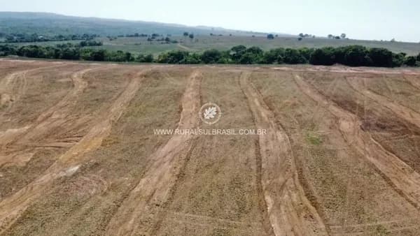 GOIÁS●FAZENDA●55,5 ALQUEIRES●DUPLA APTDÃO: AGRICULTURA/PECUÁRIA