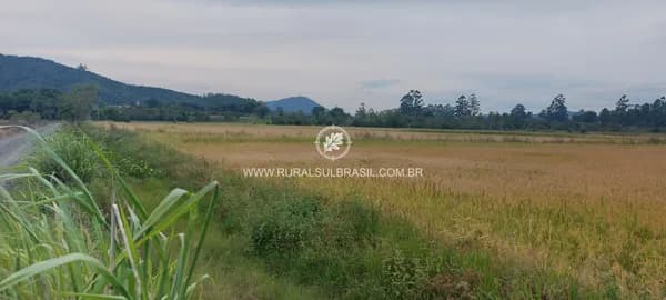 SC●SITIO●4,5 HECTARES●MORAR E PRODUZIR●400M DO ASFALTO