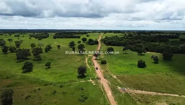 TOCANTINS●FAZENDA●982 ALQUEIRES●APTIDÃO PARA LAVOURA