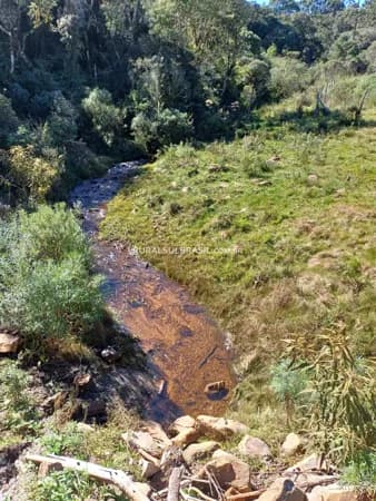 SC●2 HECTARES●TERRENO PREMIUM●SERRA CATARINENSE●1400M ALTITUDE
