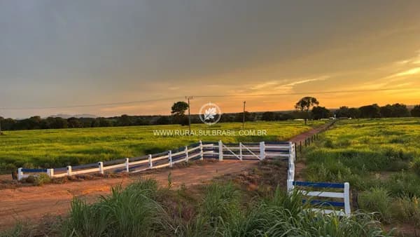 TO●FAZENDA●1.215 HECTARES●PECUÁRIA, LAVOURA, INFRAESTRUTURA PREMIUM