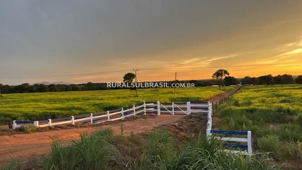 TO●FAZENDA●1.215 HECTARES●PECUÁRIA, LAVOURA, INFRAESTRUTURA PREMIUM