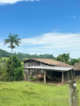 SC●SITIO●10 HECTARES●ESTRUTURA E QUALIDADE DE VIDA NO CAMPO
