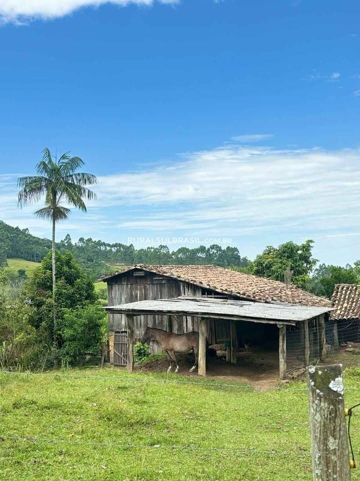 SC●SITIO●10 HECTARES●ESTRUTURA E QUALIDADE DE VIDA NO CAMPO