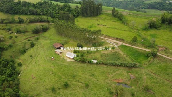 SC●FAZENDA●129 HECTARES●PECUÁRIA