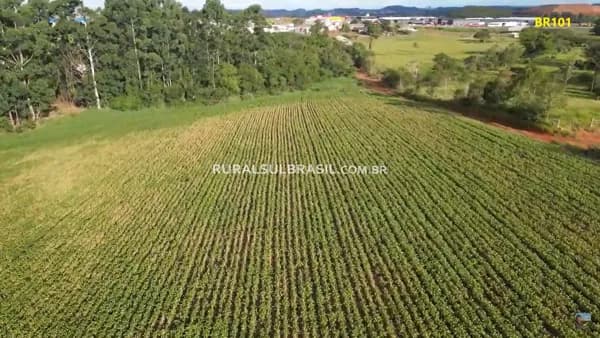 SC●3 HECTARES●300METROS DA BR-101●PRODUTIVO E ESTRATÉGICO