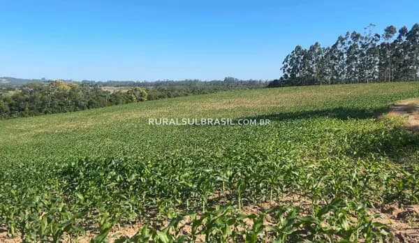 SC ● 9,07 HECTARES ● TRIPLA APTDAO ● TREZE DE MAIO