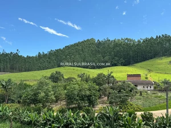 SC●SITIO● 7.5 HECTARES●MORADIA | PRODUÇÃO | LOCALIZAÇÃO