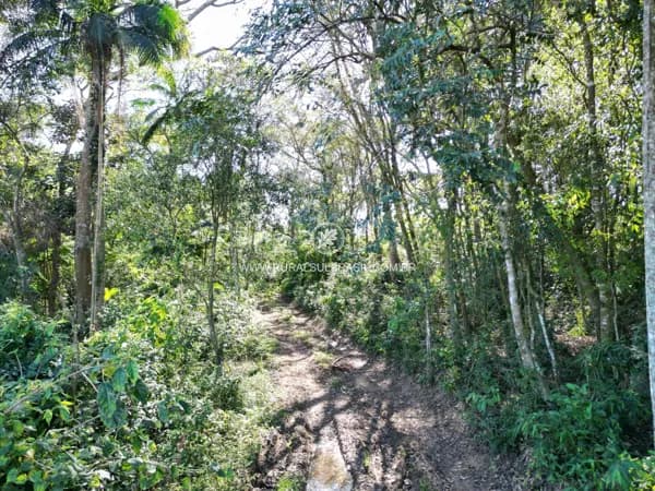 Terreno à venda - Urussanga/SC