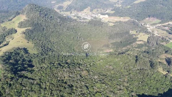 30 HECTARES DE TERRA (APP) EM AZAMBUJA-SC (Pedras Grandes)