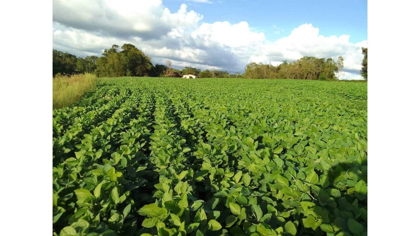Chácara em KM 20, Horizontina/RS