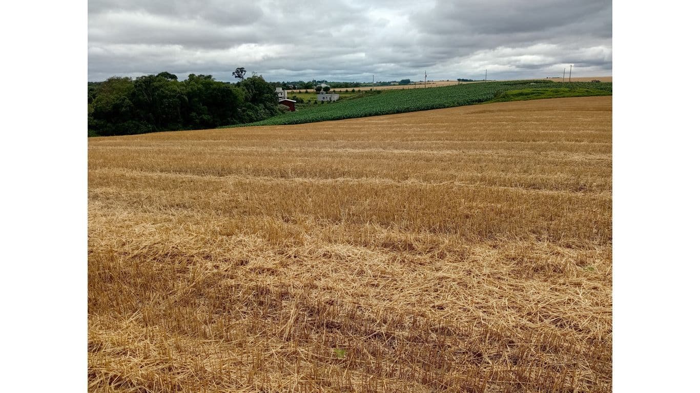 Lote rural em Eldorado, Horizontina