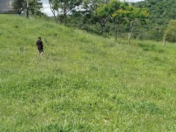 Fazenda/Sítios/Chácaras em Santa Luzia - Vila Olga
