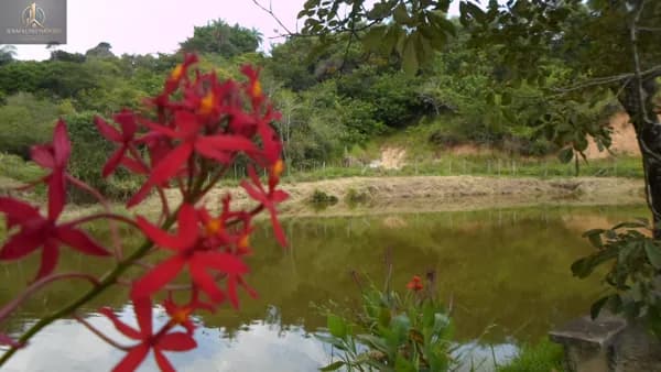 Fazenda/Sítios/Chácaras em Santa Luzia - Recanto da Mata II