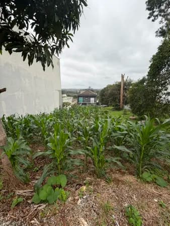 Terreno Com Projeto Aprovado à Venda, Dentro do Condomínio Aruã