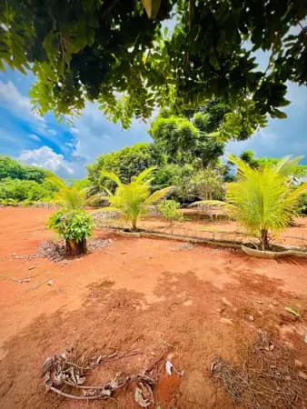 Terreno de 5.006 m² | Condomínio Alto da Boa Vista | Senador Canedo