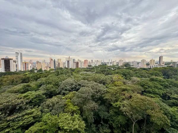 Apartamento 317 m² com varanda e vista definitiva para o Bosque dos Buritis | 4 quartos | 4 vagas