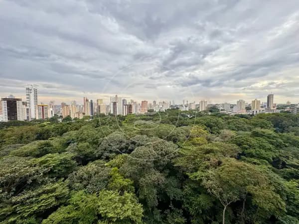 Apartamento 317 m² com varanda e vista definitiva para o Bosque dos Buritis | 4 quartos | 4 vagas
