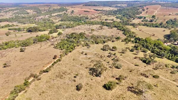 Fazenda à venda em São Miguel do Passa Quatro – GO | 49 alqueires | Aptidão para pecuária, agricultura e irrigação