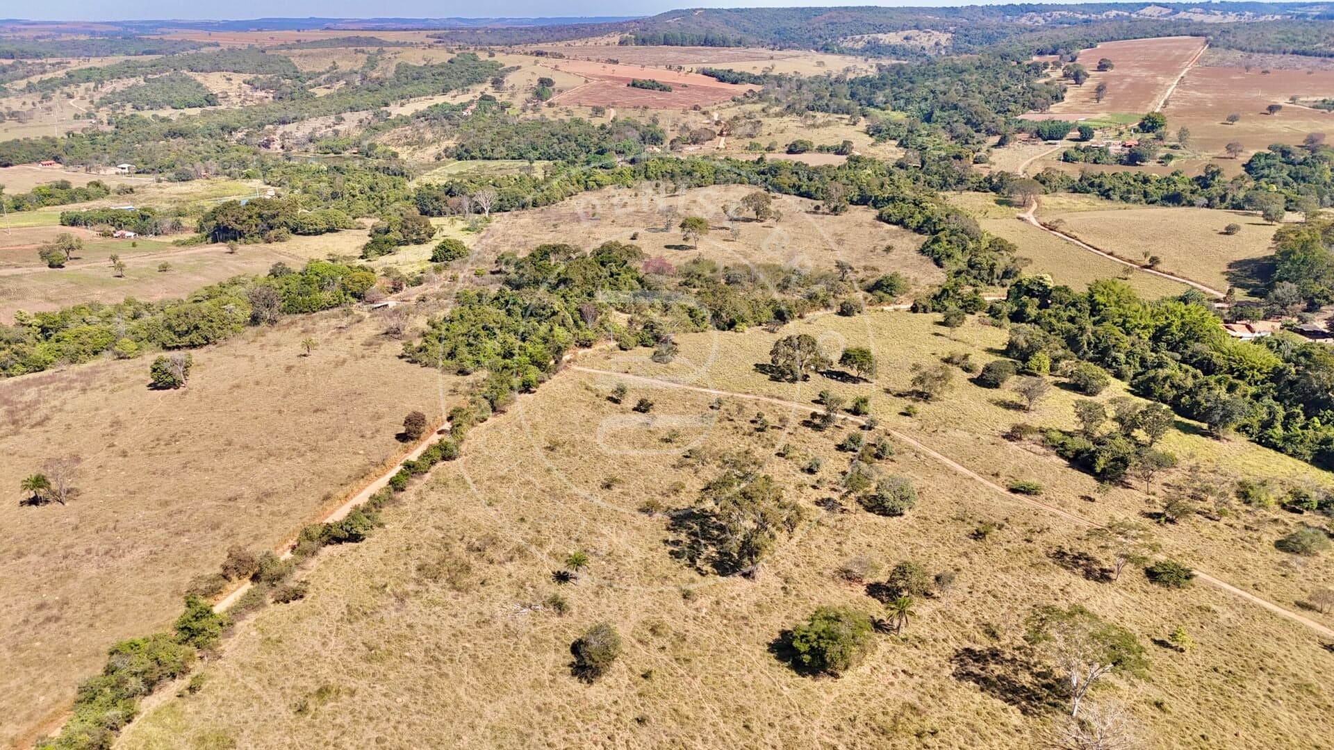 Fazenda à venda em São Miguel do Passa Quatro – GO | 49 alqueires | Aptidão para pecuária, agricultura e irrigação