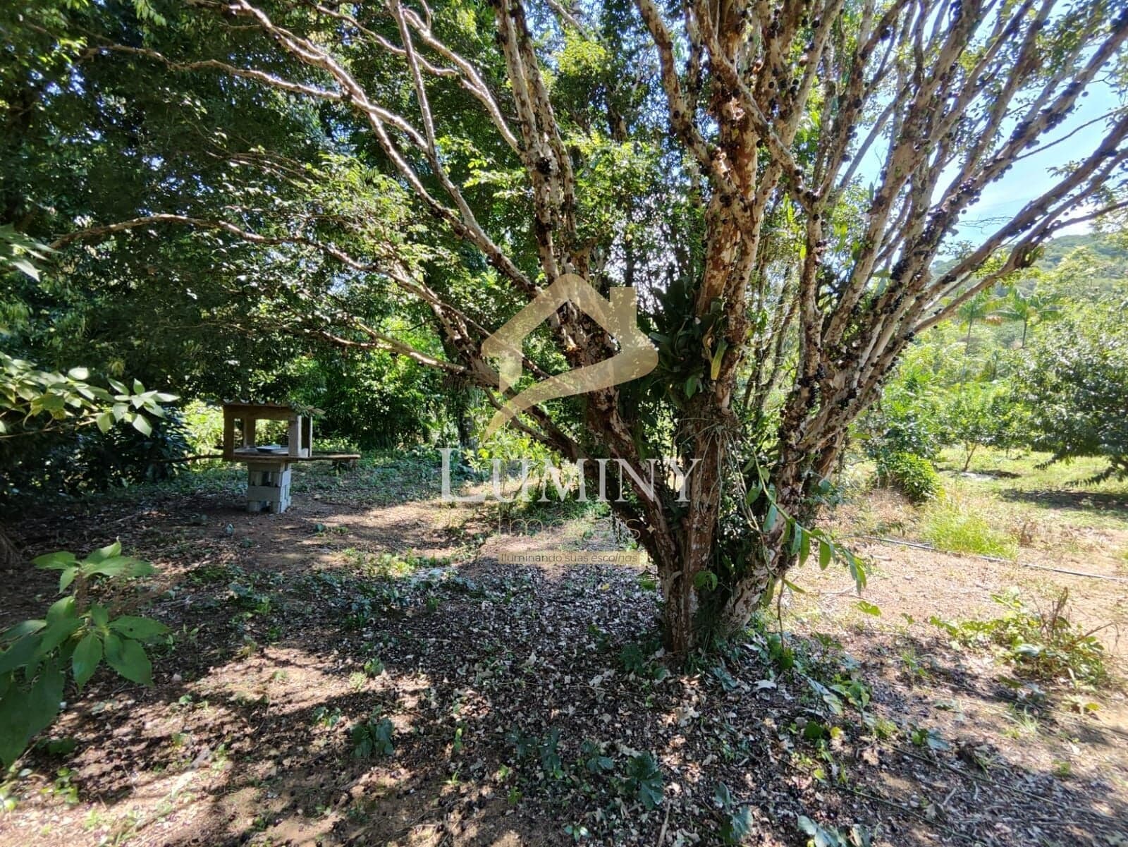 Terreno em Schroeder