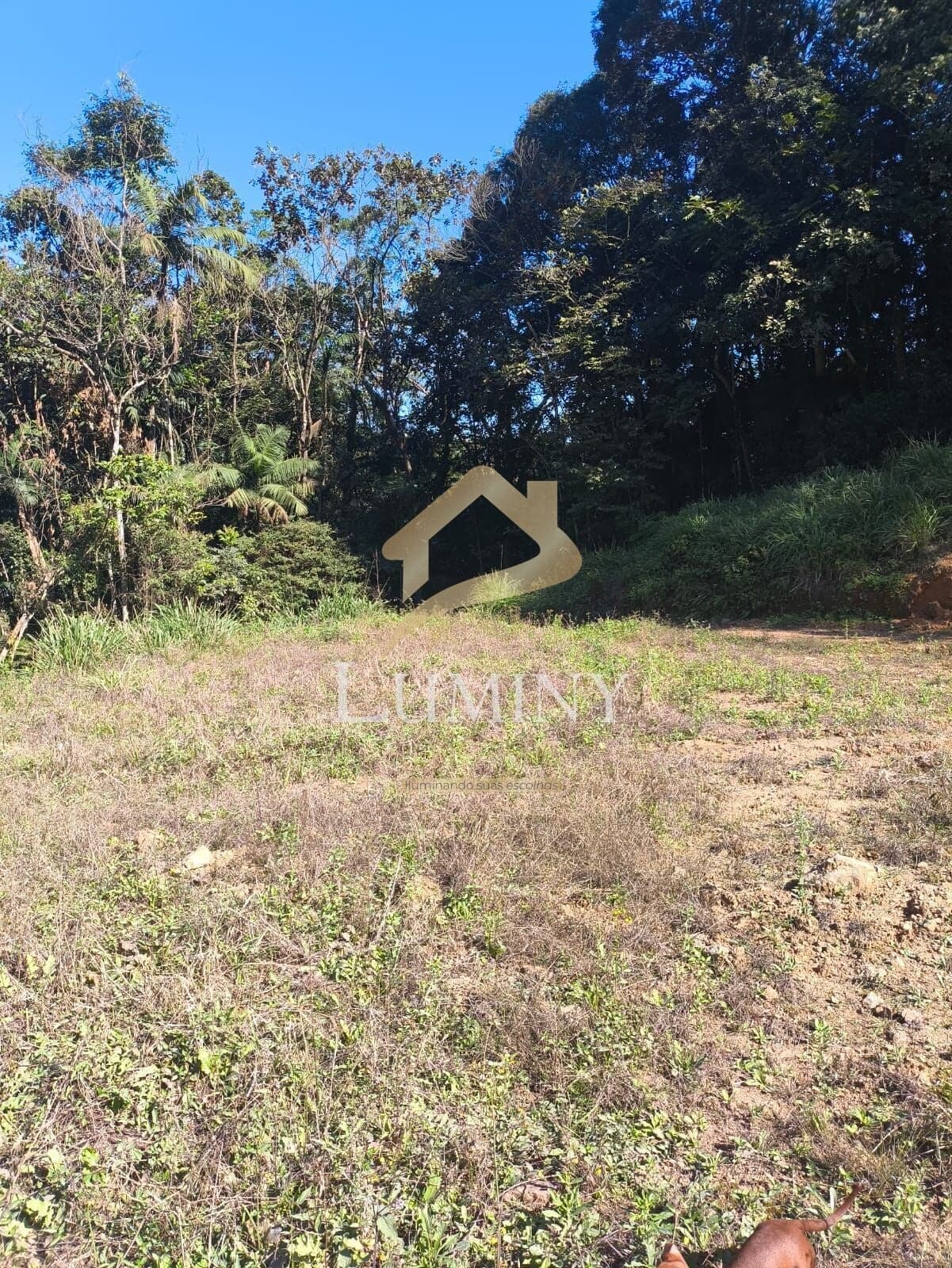 Chácara no bairro Duas Mamas