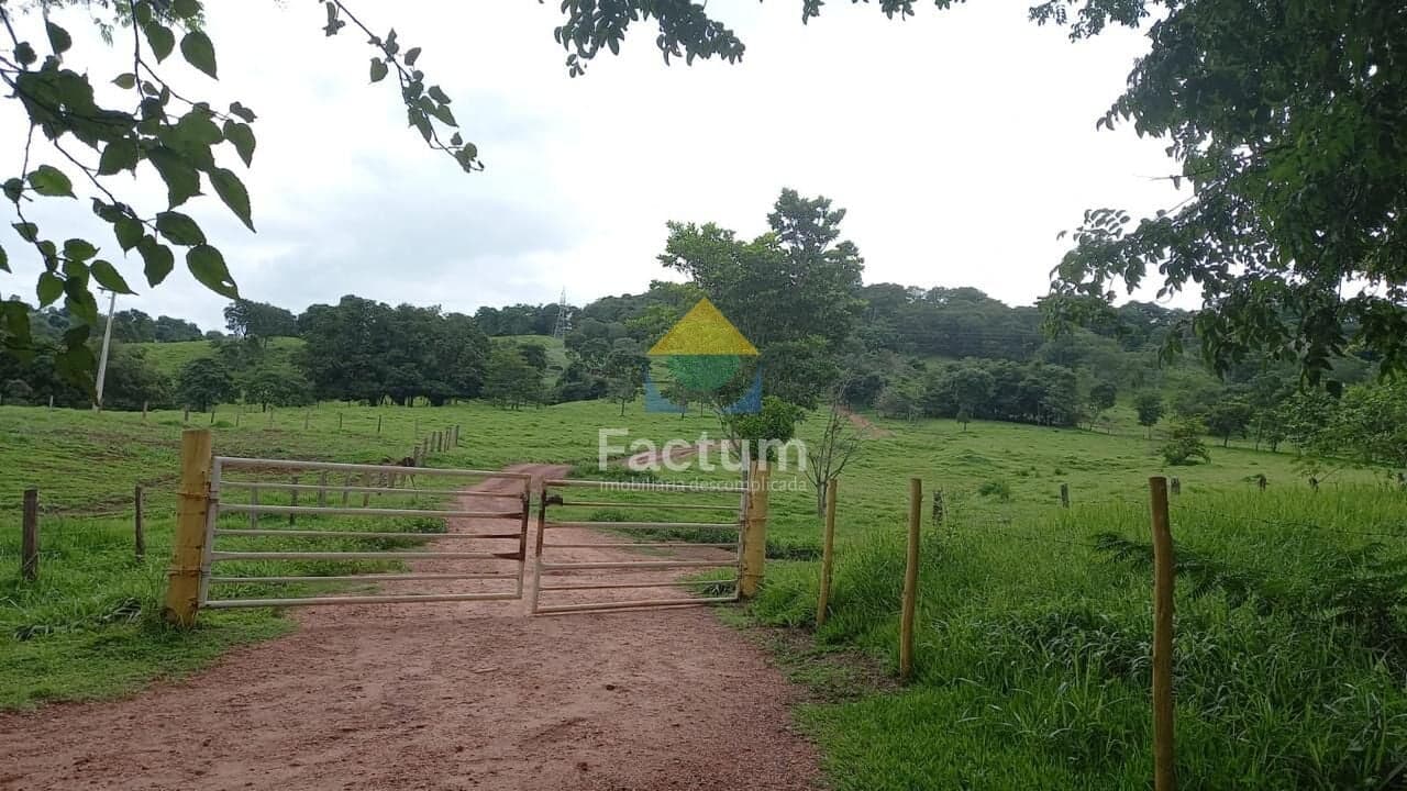 Fazenda/Sítios/Chácaras em Uberlândia - Zona Rural