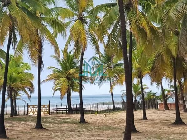 Sítio Pé na areia em Coruripe, 5 hectares, com 54 metros beira-mar na Praia do Miaí de Cima - Alagoas